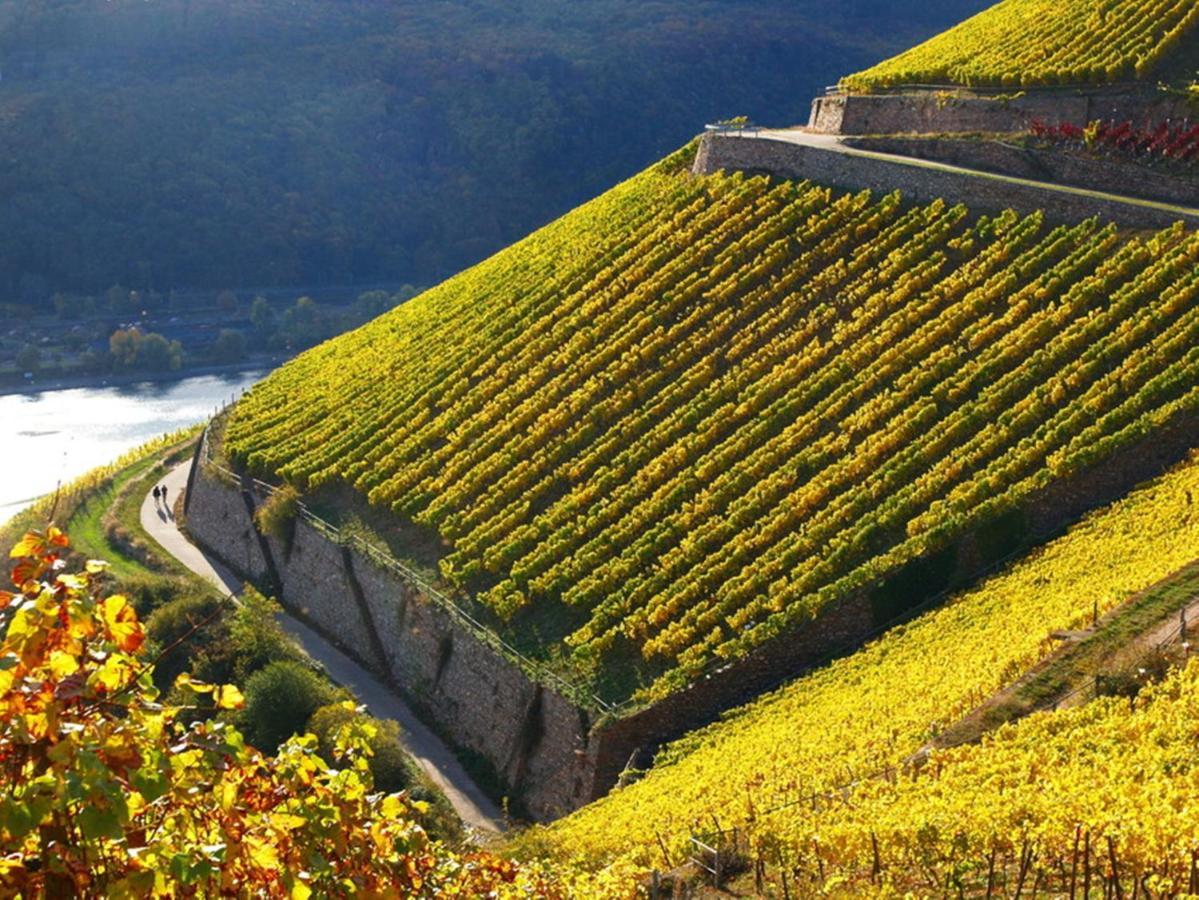 Hotel Trapp Rüdesheim am Rhein Eksteriør billede