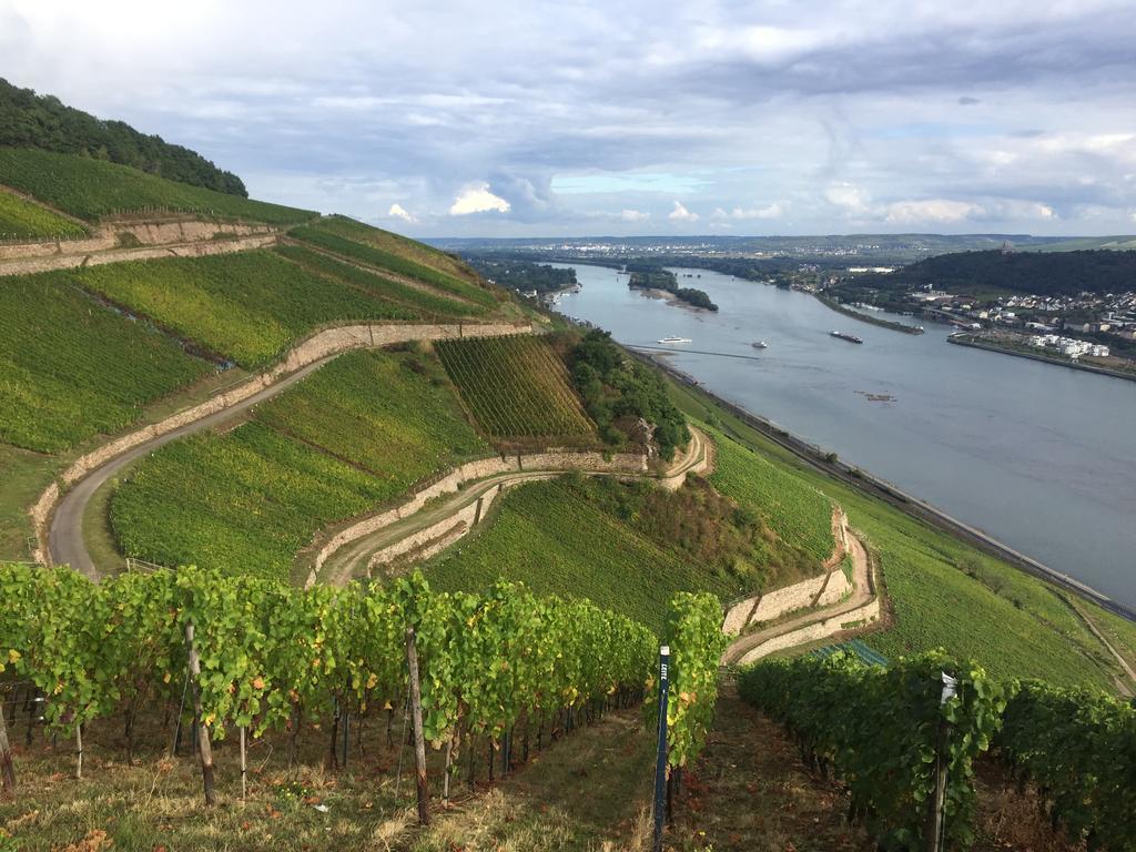 Hotel Trapp Rüdesheim am Rhein Eksteriør billede