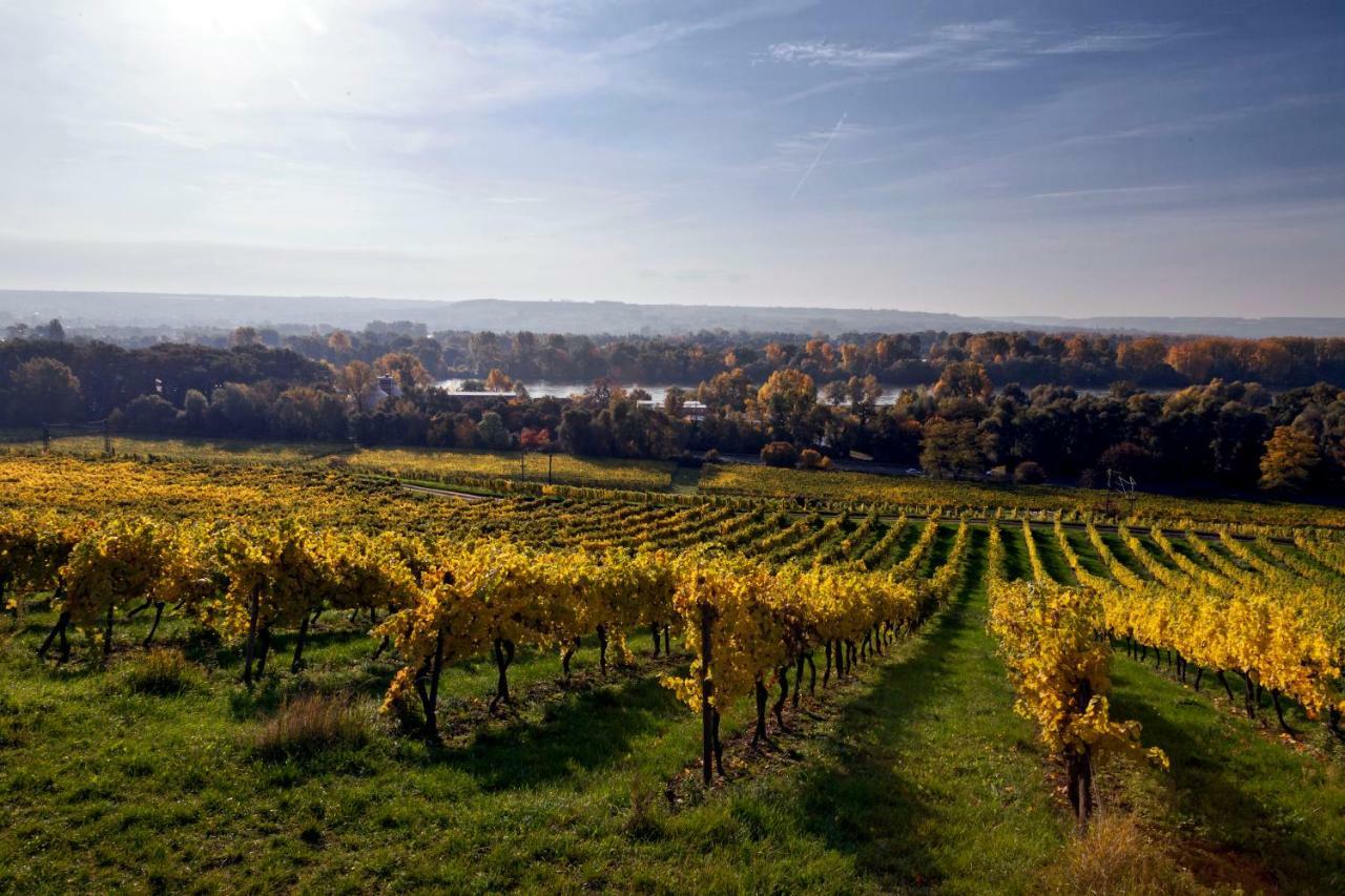 Hotel Trapp Rüdesheim am Rhein Eksteriør billede