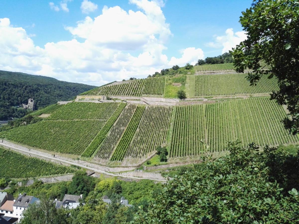 Hotel Trapp Rüdesheim am Rhein Eksteriør billede